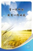 比亚kaiyun官方网站迪秦胎压计换电池(比亚迪秦胎压匹配)